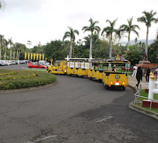 Loro Parque kostenloser Zug zum Park