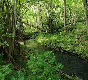 Wandern Kitzelberg St. Kanzian