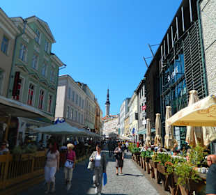 Stare Miasto Tallinn