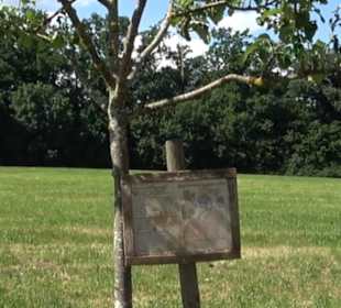 Eduard Lucas Musterobstgarten Mähringen