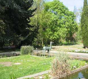 Botanischer Garten