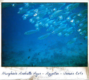 Ich beim Schnorcheln