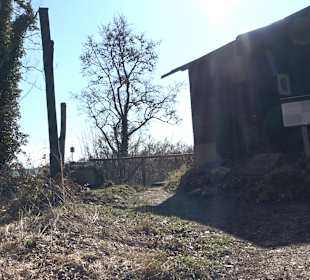 Fürstlicher Park Inzigkofen