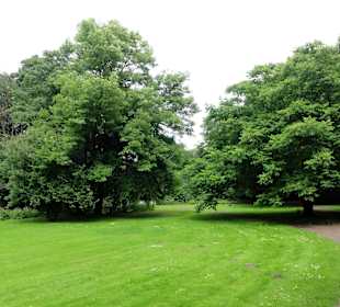 Rundgang durch den Schlossgarten Oldenburg