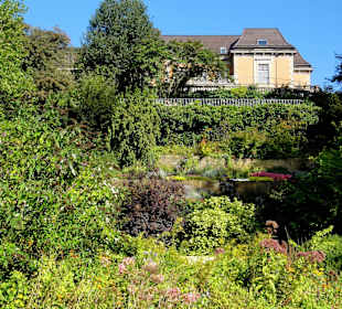 Impressionen aus dem Stadtgarten Vegesack