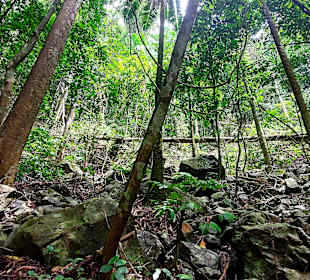 Parque Natural Obô do Príncipe