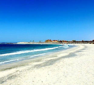 Marsa Alam - Delfinschwimmen Yasser-Delfine Hurghada