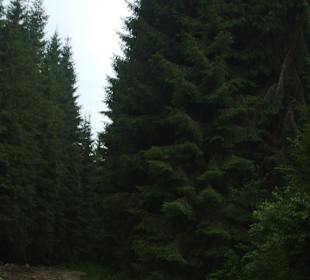 Parcul Natural Apuseni