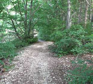 Tour entlang der Traifelbergfelsen