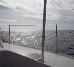 Navegación catamarán. En altamar.