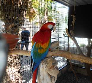 Botanischer Garten Viveiro