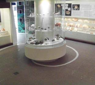 Museum von Innen