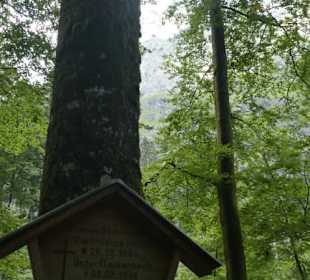 Auf dem Weg zur sogenannten Eiskapelle