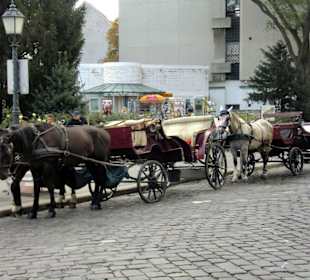 Pferdedroschken nahe der Fischerbastei