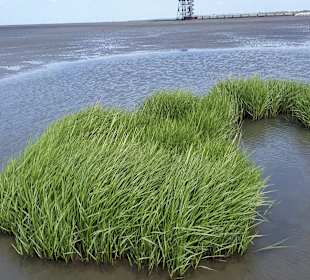 Badestrand Dorum-Neufeld - Vorm Wellenbad