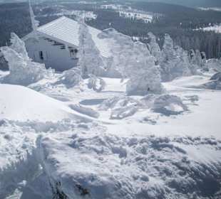 Bizarre Schneelandschaft