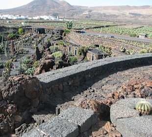 Blick von der Gofiomühle zum Eingang