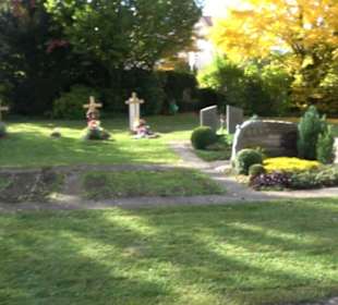 Friedhof Dottingen