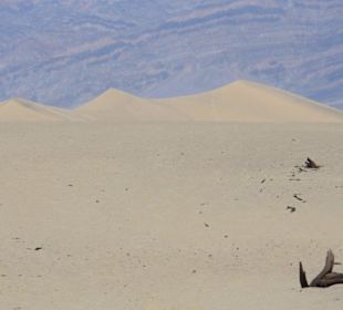 Mesquite Sand Dunes