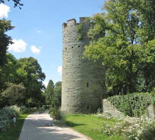 Wallanlage + Kattenturm