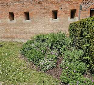 Escarpenmauer