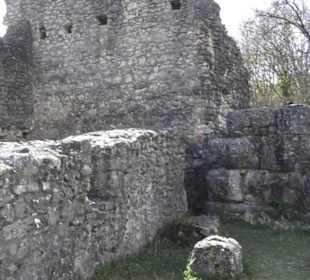 Burg Bichishausen