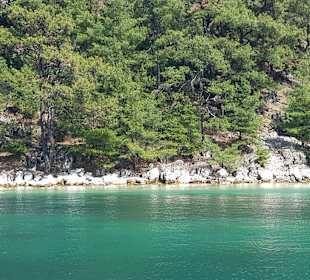 Bootsfahrt Skala Prinos