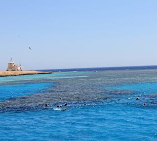 Giftun / Mahmya Inseln