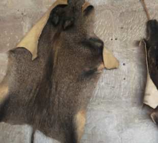 Burg Wäscherschloss