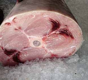 Fischgeschäfte im Hafen von Saint Gilles