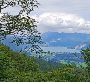 Blick auf den Wolfgangsee