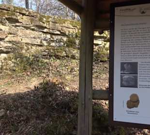 Geologischer Lehrpfad Kirnbachtal