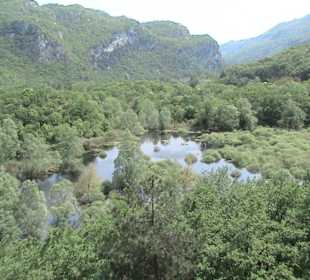 Zwischen Mori und Riva