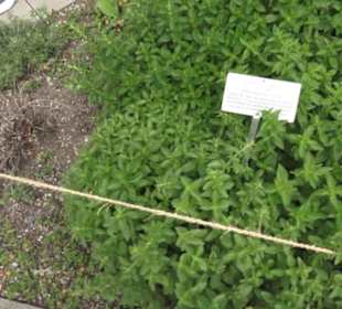 FIFA World Football Museum