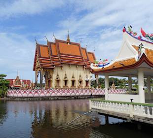 Gegend um den Big Buddha