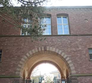 Bummel durch den Karlsruher Botanischen Garten