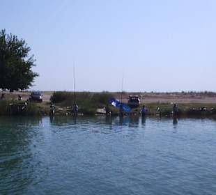 Auf dem Fluss