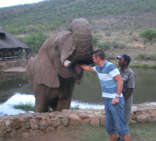Elefanten Camp