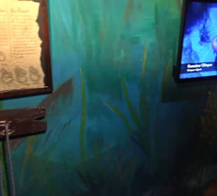 Sea Life