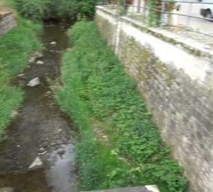 Gänswiese