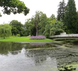 Blumeninsel Siebenbergen