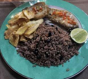 Hauptsächlich Reuis mit Bohnen