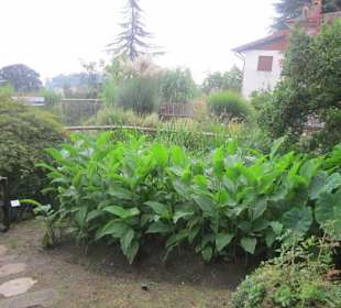 Botanischer Garten Bergamo