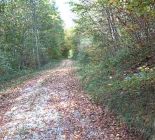 Wandertour "Rund um den Rossberg" Öschingen