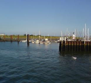 Tagesausflug: Fahrt mit der Fähre nach Föhr