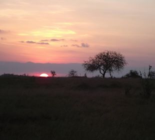 Sonnenuntergang Tsavo West