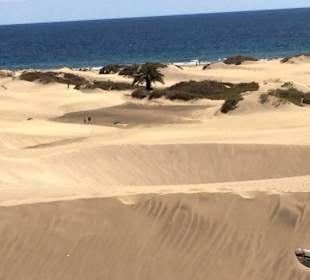 Maspalomas 