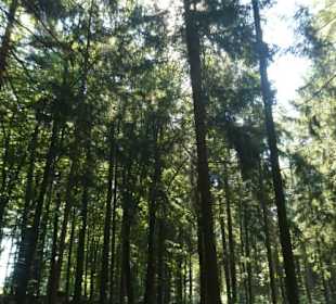 Eindrücke vom Friedrich-Nietzsche-Wanderweg