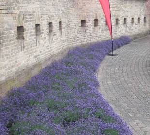 Festungsfest Germersheim 2015