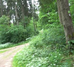 Premiumwanderweg "hochgehackert"